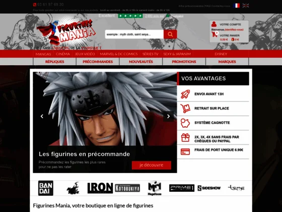 Commandes en ligne de figurines et dérivés, France