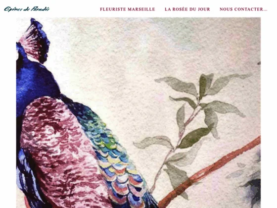 Fleuriste épines de paradis à Marseille