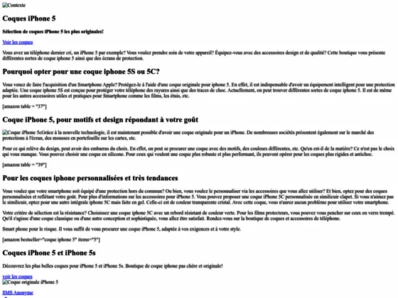 accessoires iphone 5