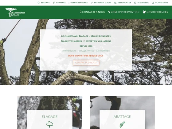 Société d'elagage de Champsavin arrachage et enlèvement de souche d'arbre