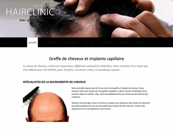 Greffe de cheveux et la technique du mini-punch