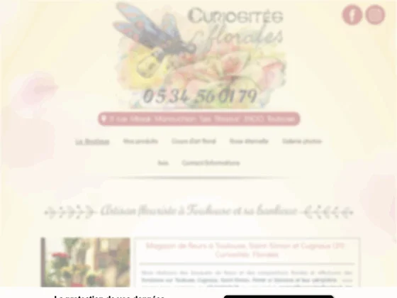 Curiosités Florales - Artisan Fleuriste à Toulouse