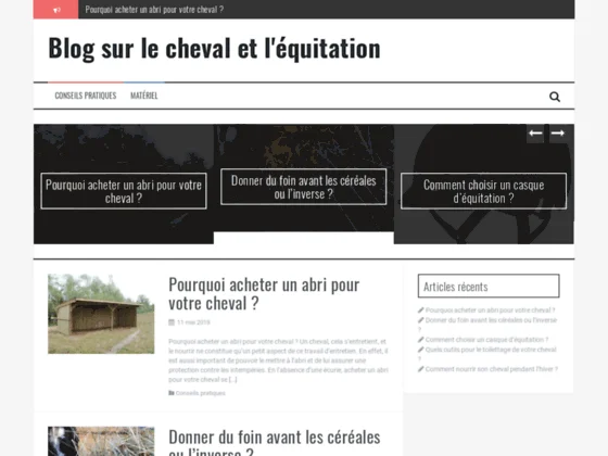 Débourrage de chevaux en France