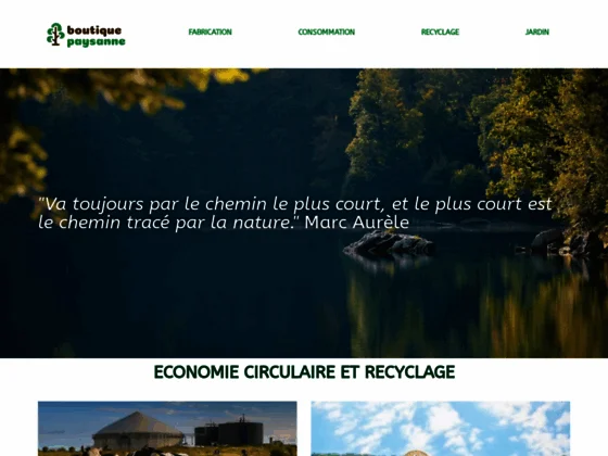 Delphin envronnement