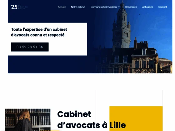 Avocats d'affaires, Lille