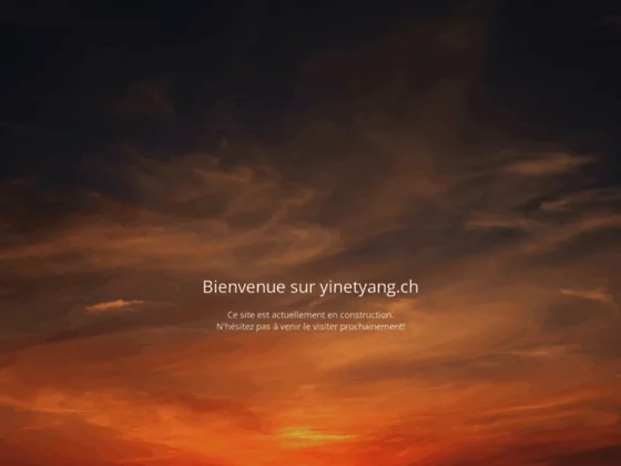 Le meilleur du thé: boutique suisse