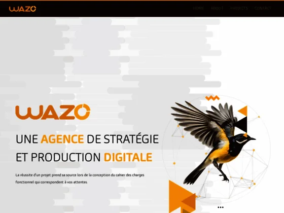 Agence conseil digital