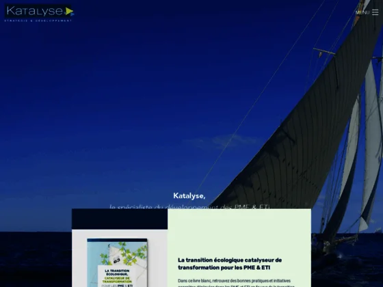 Cabinet de conseil à Lyon, Katalyse