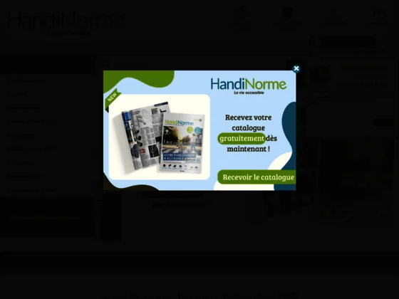 La dalle podotactile d'Handinorme pour la mise aux normes des ERP