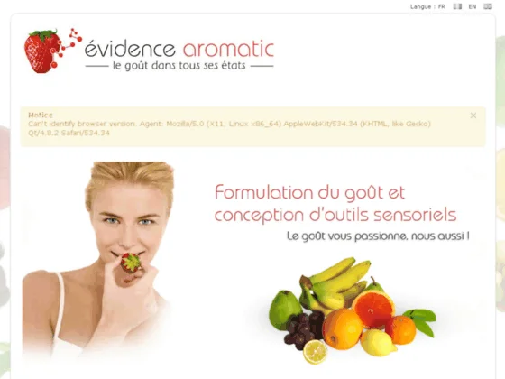 Formulation du goût