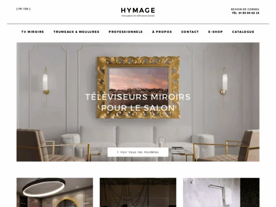 Téléviseur de luxe