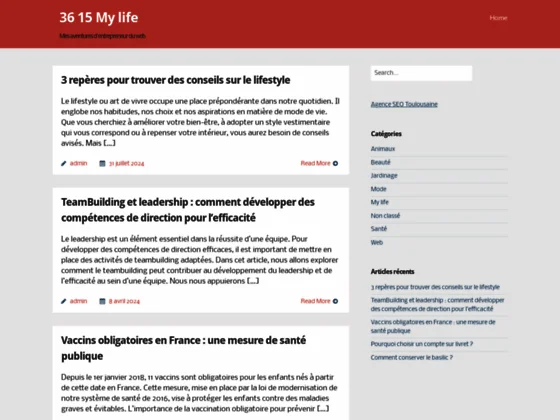 3615-mylife, le blog mi-perso mi-professionnel d’un net-entrepreneur 