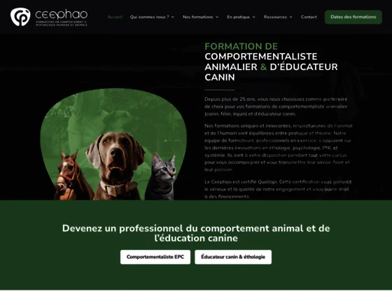 Formation comportementaliste animalier par correspondance