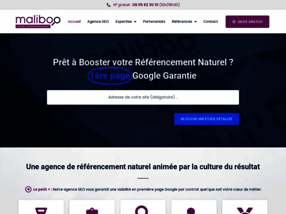 Agence referencement Paris