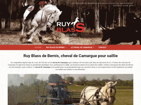 Ruy Blass