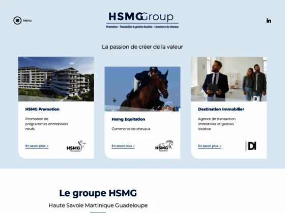 Hsmg group