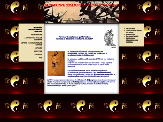 Médecine holistique énergétique & Acupuncture à Paris Bruxelles