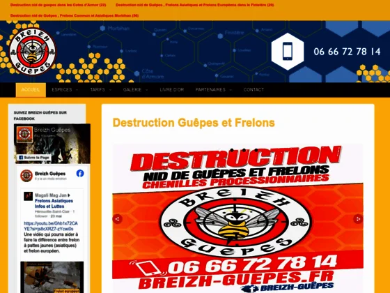 breizh guêpes