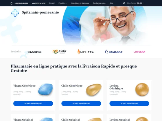 loulou de poméranie-spitz nain 