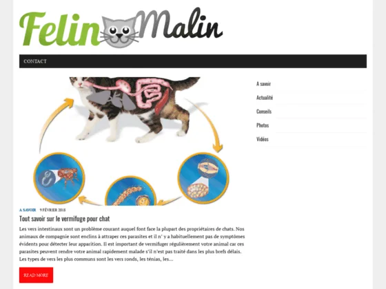 Informez-vous les agissements des félins