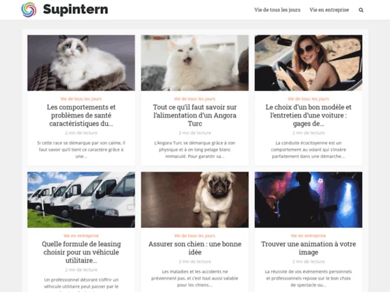 Supintern.fr: les stages à l'étranger forment la jeunesse de demain