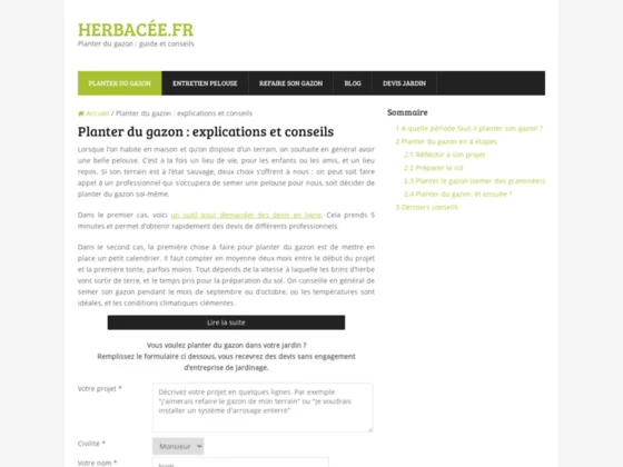 Planter une pelouse : guide et conseils