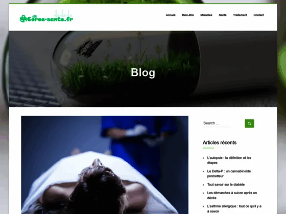 Extrait de ginseng rouge Coréen