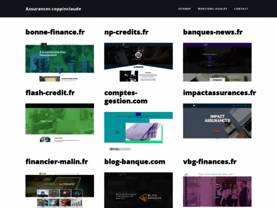 Intermédiaire en opérations bancaires