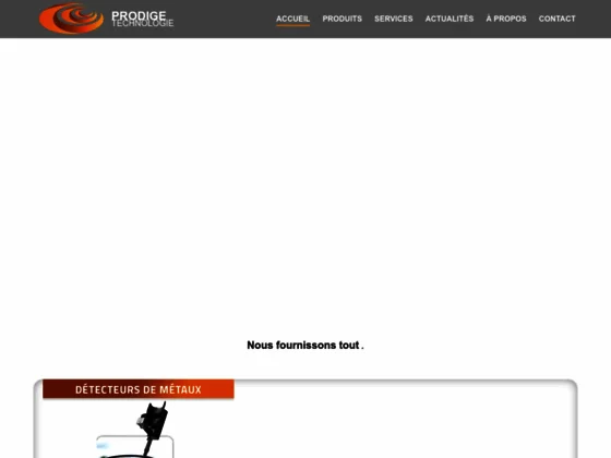 Détecteur de métaux