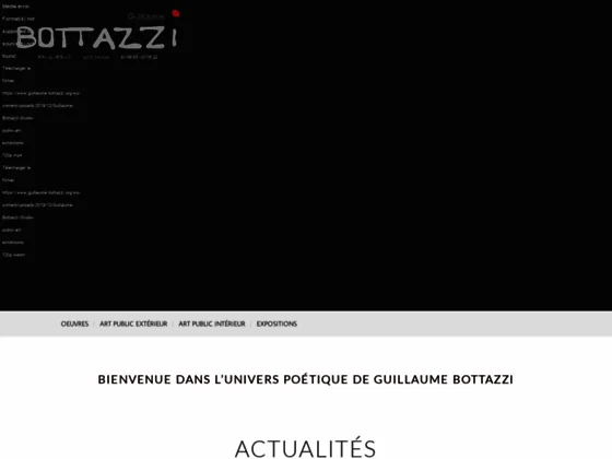 Guillaume Bottazzi - Site officiel de l'artiste visuel