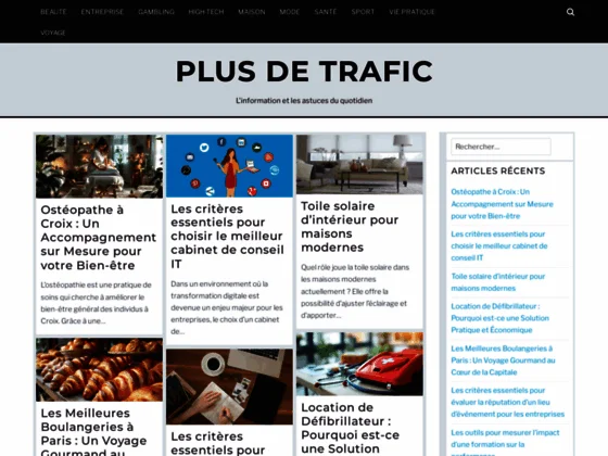 plus-de-trafic.fr 