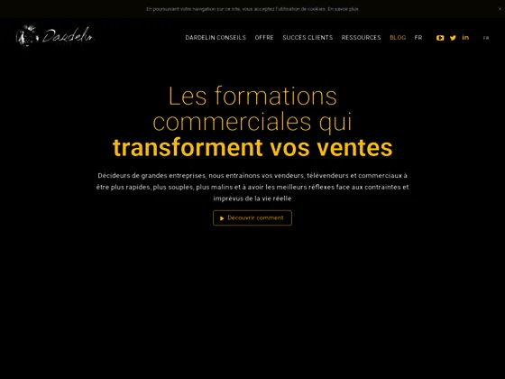 le site dardelin.com