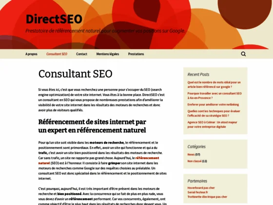 Consultant référencement naturel - DirectSEO