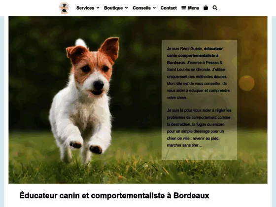 Croquettes chats à Bordeaux