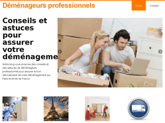 déménageur-professionnel