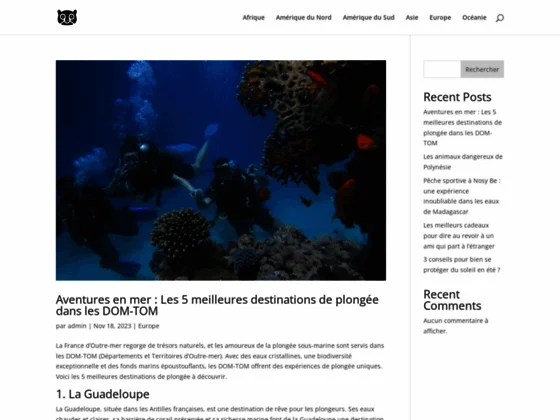 visite du Tsingy et l'Allée des Baobabs