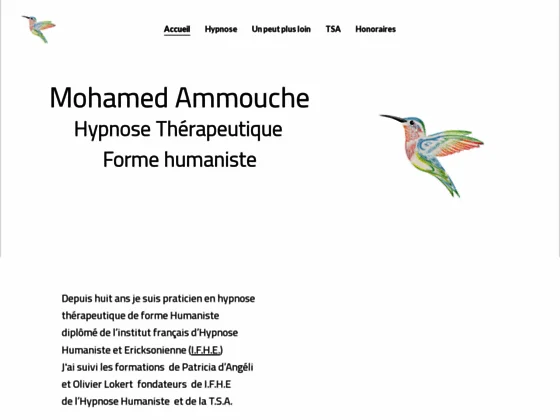 Séances d'hypnose avec votre hypnothérapeute Mohamed Amouche 