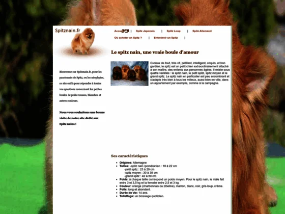 Spitznain.fr
