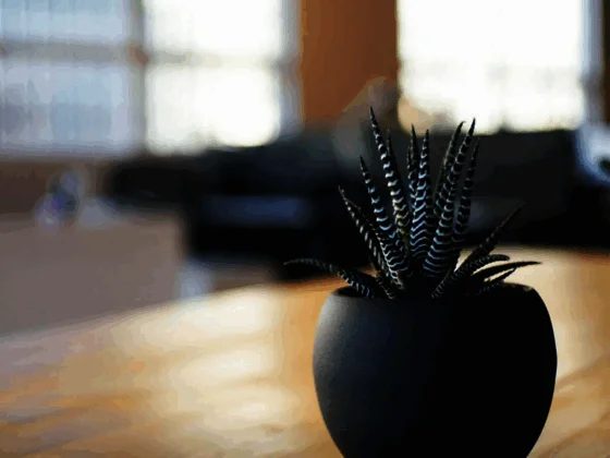 Logiciel de caisse enregistreuse