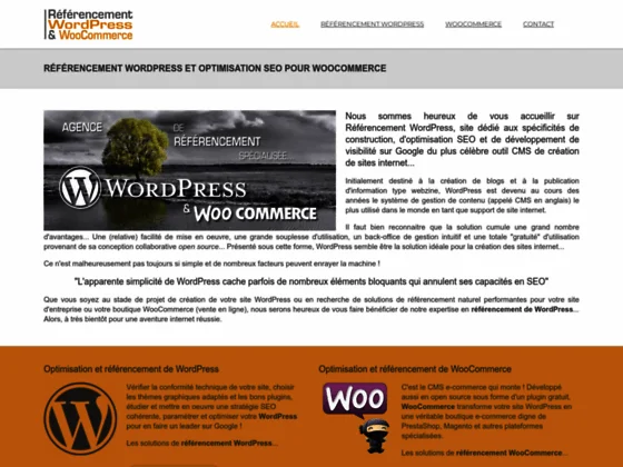 Référencement WordPress