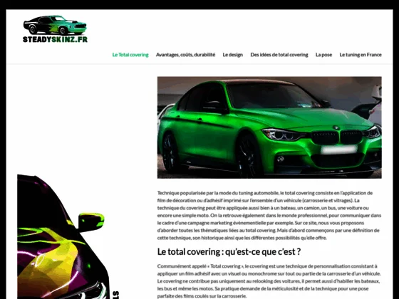 Steady Skin'z Covering