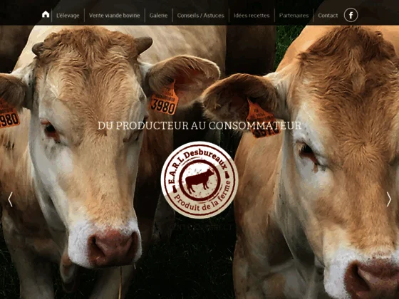 Viande de boeuf en circuit court - St pol sur ternoise - (62)