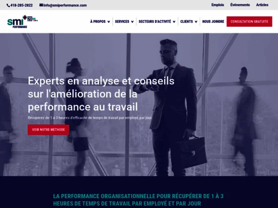 gestionconseilsmi.com