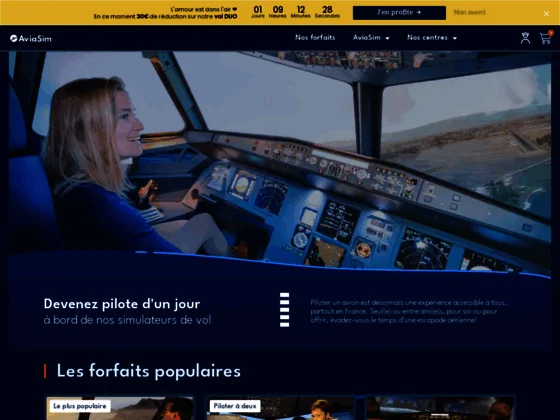 Cadeau simulateur de vol