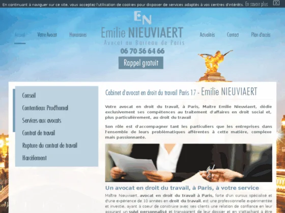 Avocat, droit du travail, Paris - Me Nieuviaert