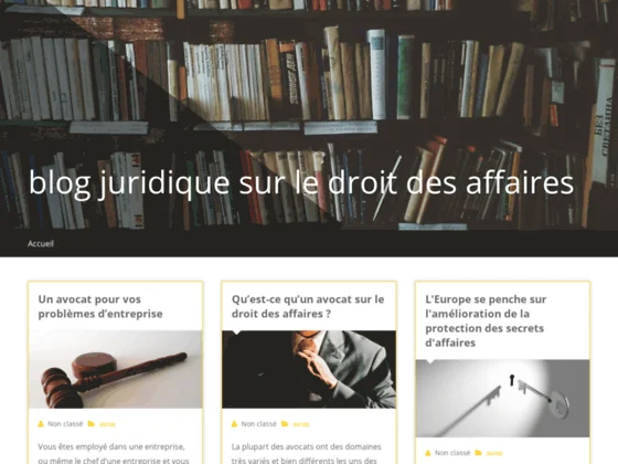 Casier judiciaire b3