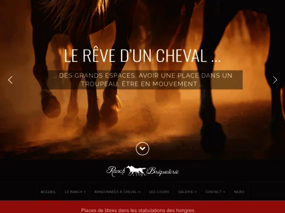 Elevage de vaches allaitantes et pension pour chevaux