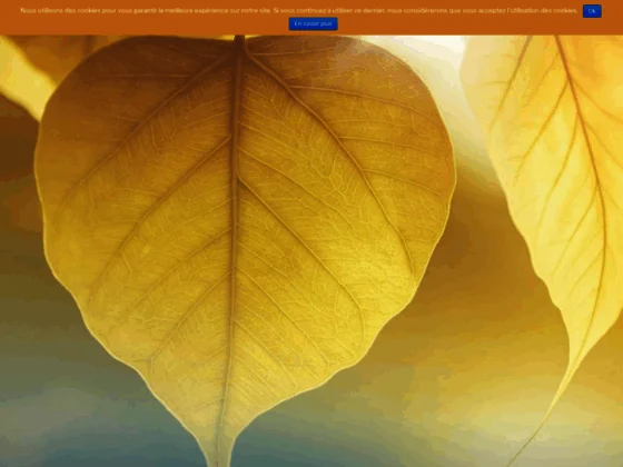 Cabinet de spécialite en reflexologie à Nantes