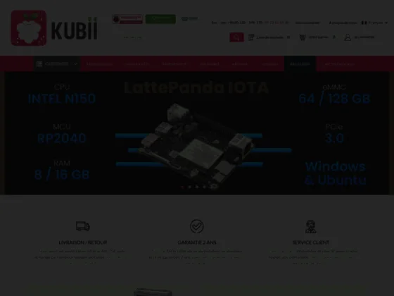 ordinateurs Raspberry PI