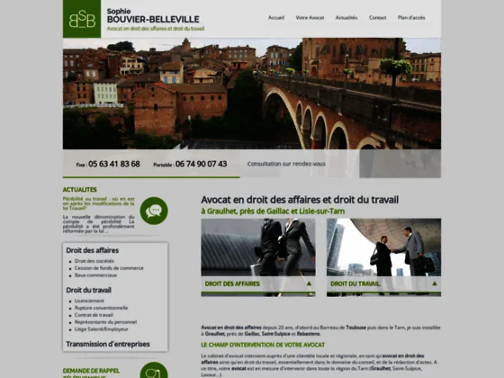  Avocat droit des affaires Albi 